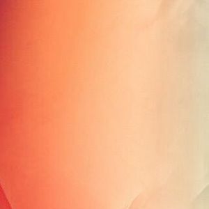 Meet your Posher, Corinne